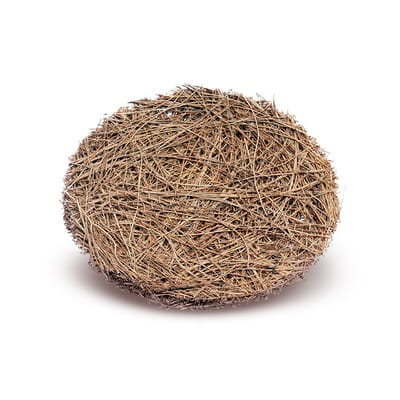 Coconut coir Scrubber / Set of two