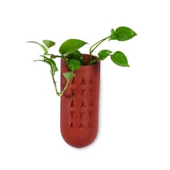 Terracotta Planters | Clay Pot